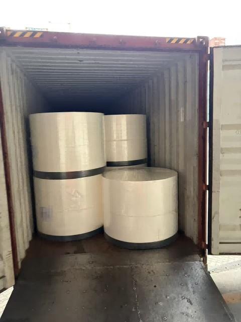 untreated fluff pulp in Bangladesh